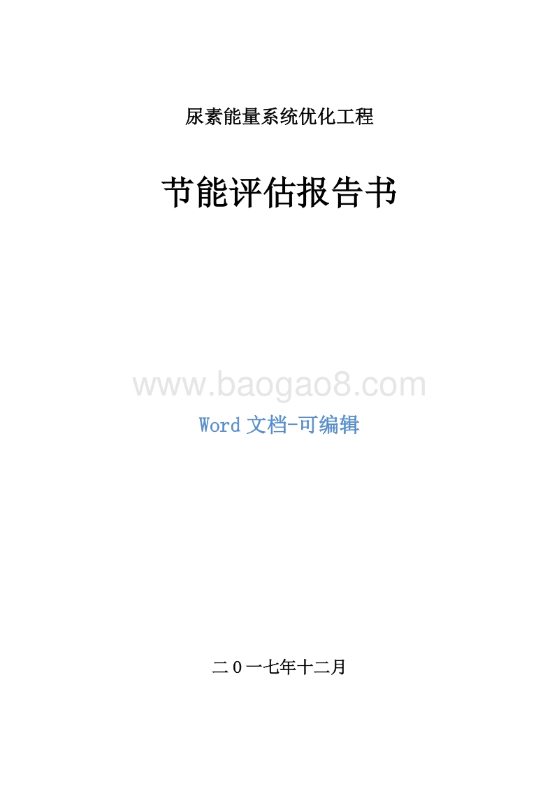 尿素能量系统优化工程节能评估报告书.doc_第1页