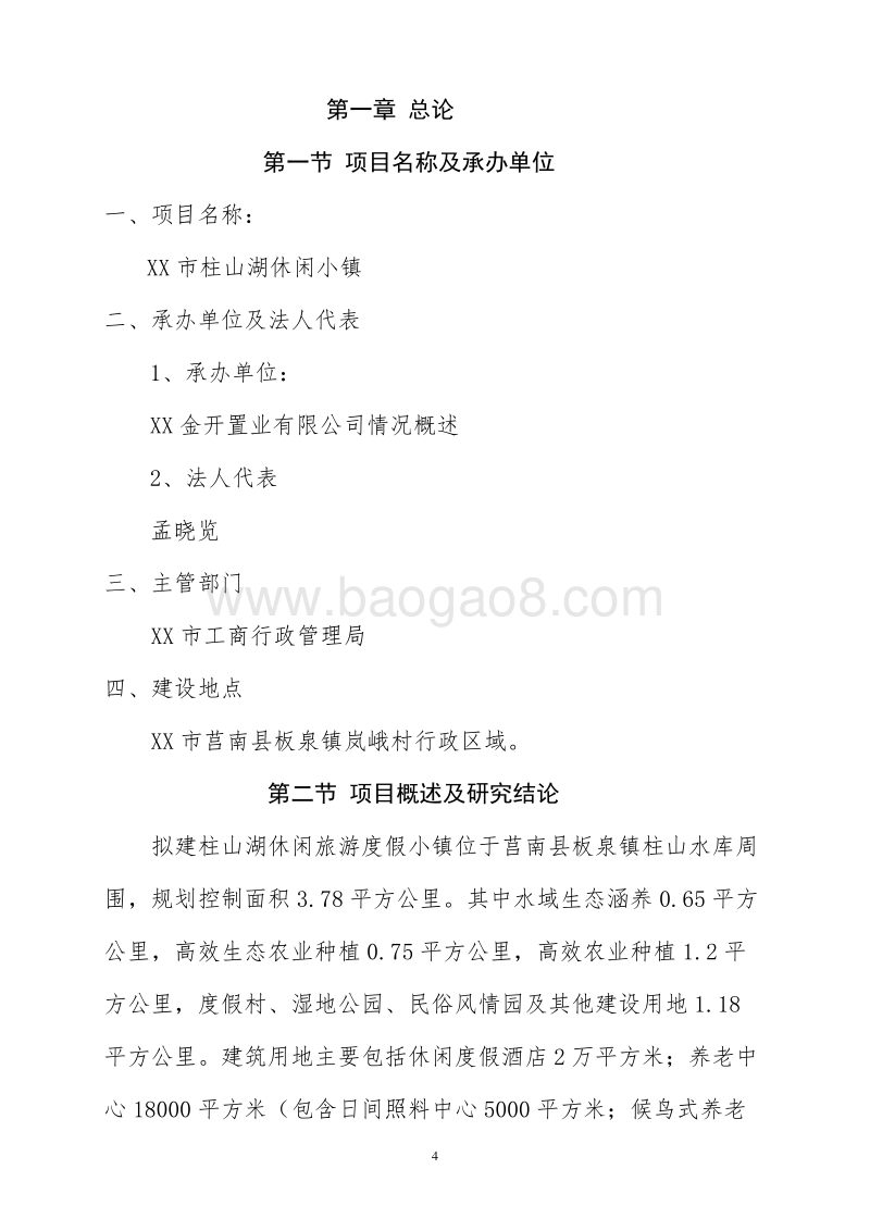 XX地区休闲旅游度假小镇可行性研究报告.doc_第4页