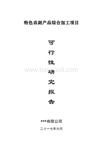 特色农副产品综合加工项目可行性研究报告.doc