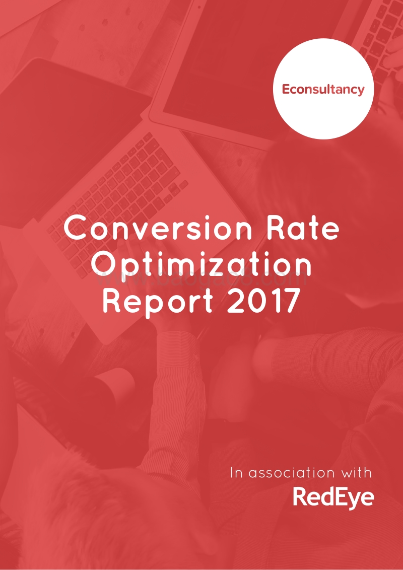 2017年网络营销转化率优化报告.pdf_第1页