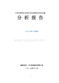 中国互联网社交软件未来发展和存在的问题分析报告.doc