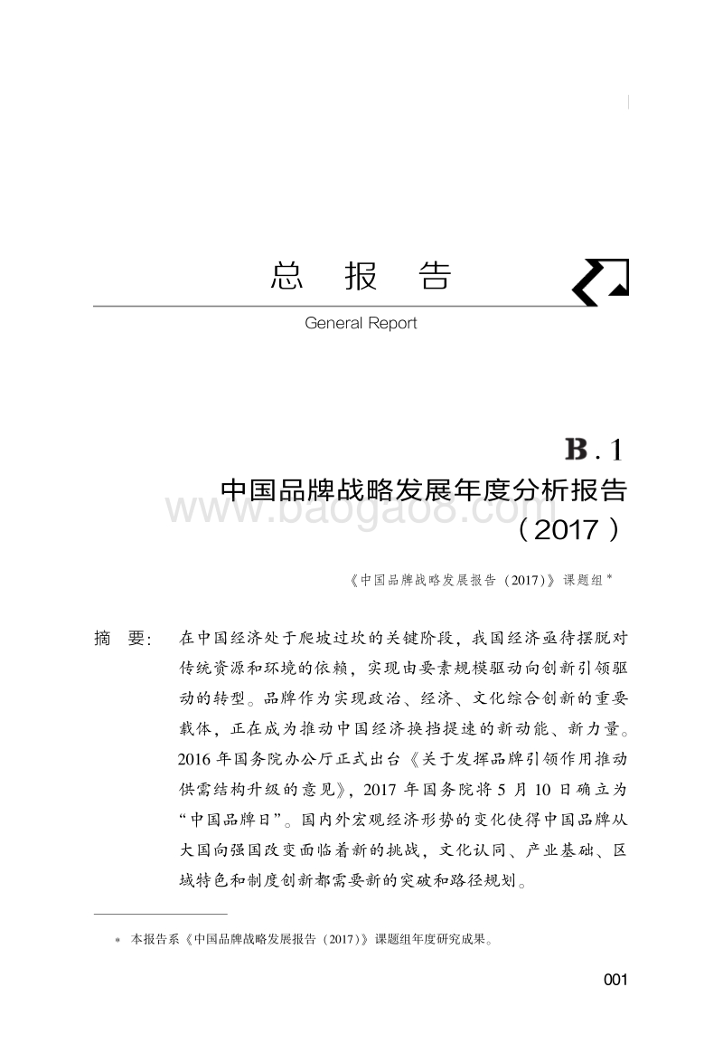 中国品牌战略发展年度分析报告（2017）.pdf_第1页