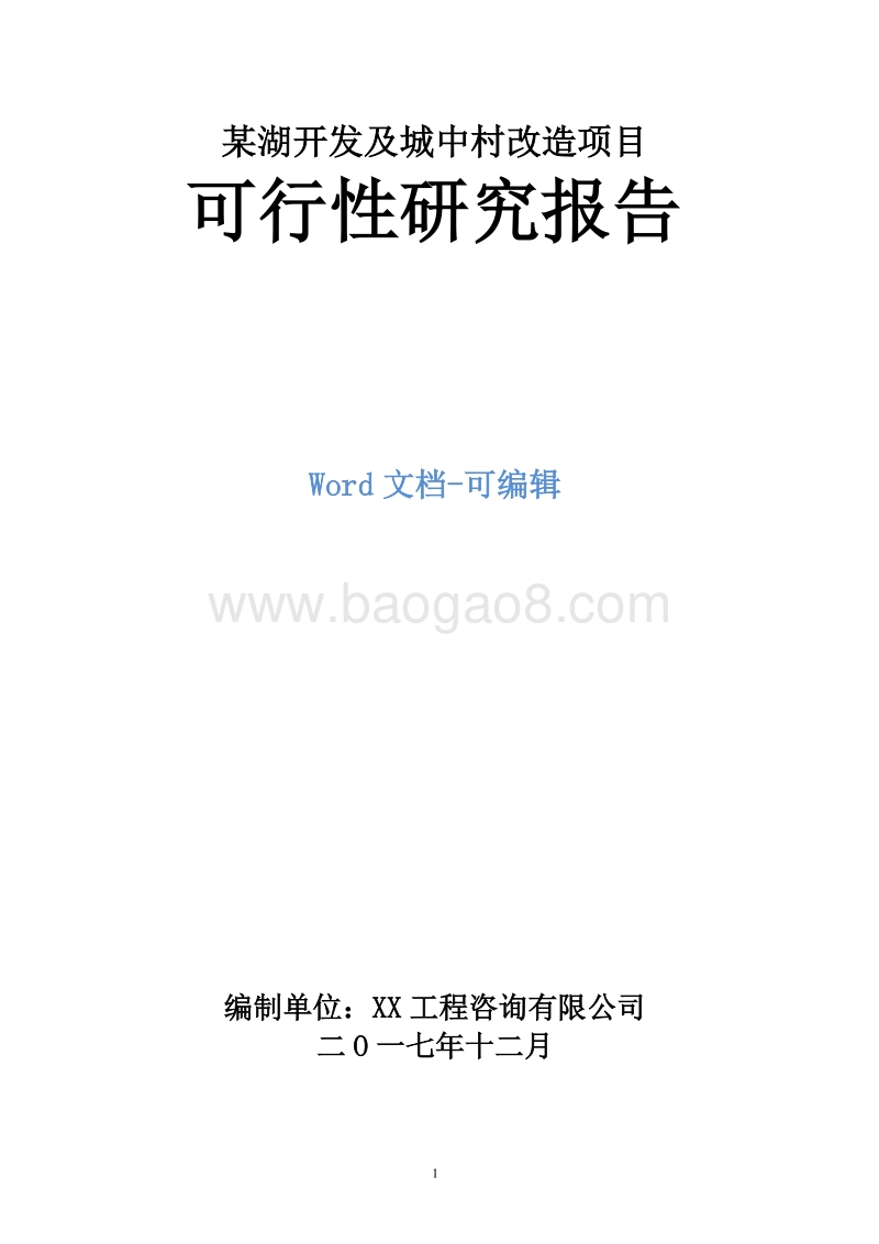 某湖开发及城中村改造项目可行性研究报告.doc_第1页