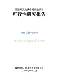 某湖开发及城中村改造项目可行性研究报告.doc