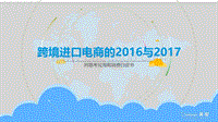 跨境进口电商的2016与2017.pdf