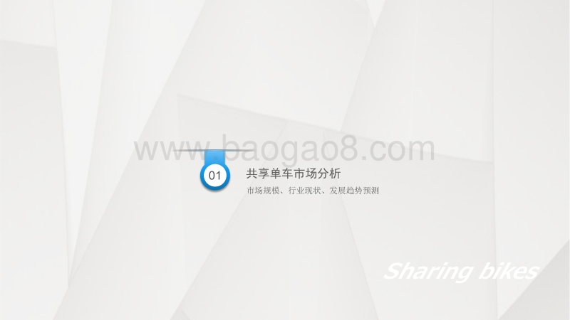 2017年中国共享单车行业洞察分析报告.pdf_第5页