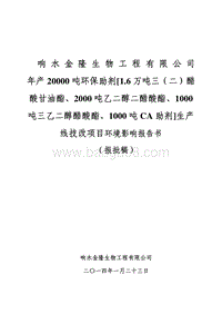 XX生产线技改项目环境影响评价报告书.pdf