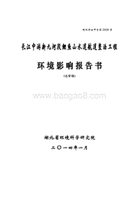 XX市水道航道整治工程-环境影响报告表.pdf