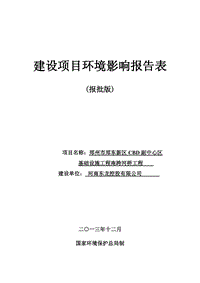 XX区CBD副中心区基础设施工程南跨河桥工程环境影响报告表.pdf