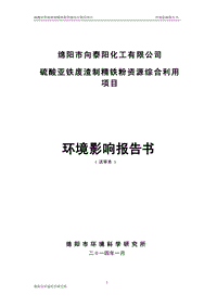 XX化工医药有限公司环境影响报告书.pdf