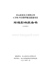 XX聚甲醛及配套项目环境影响评价报告书.pdf