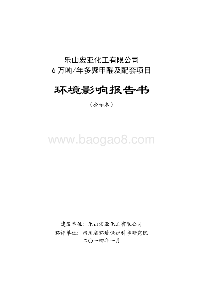 XX聚甲醛及配套项目环境影响评价报告书.pdf_第1页