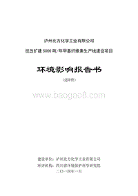 XX厂甲基纤维素生产线建设项目环境影响评价报告书.pdf