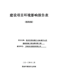 XX区CBD副中心区基础设施工程北跨河桥工程环境影响报告表.pdf