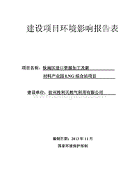 XX新材料产业园LNG综合站建设项目环境影响报告表.pdf