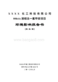 XX公司液相法一氯甲烷项目环境影响评价报告书.doc