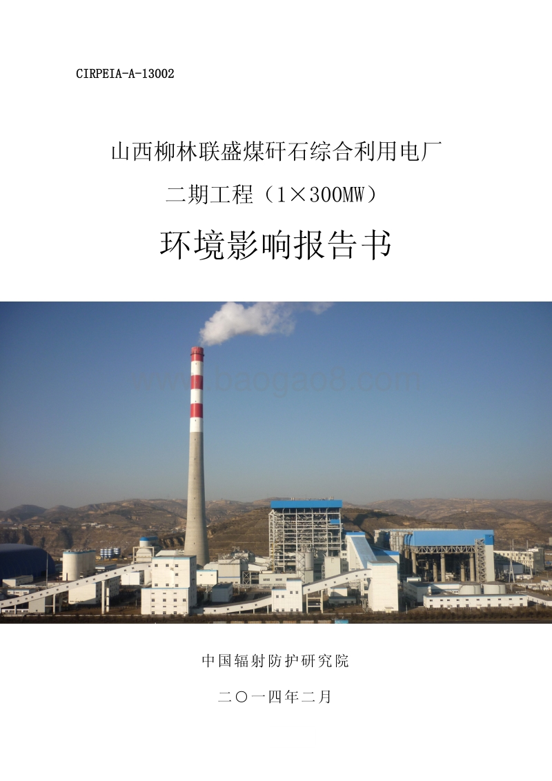 XX地区综合利用电厂工程环境影响报告书.pdf_第1页