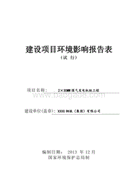 XX 煤气发电机组工程环境影响评价报告表.doc