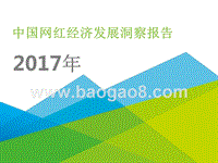 2017年中国网红经济发展洞察报告.pptx