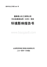 XX厂 污水处理添加剂项目环境影响评价报告书 - 副本 - 副本.pdf
