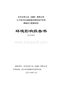 XX公司合成树脂及相关电子化学精细化工配套项目环境影响评价报告书 - 副本 (2).pdf