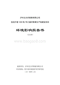 XX厂乙基纤维素生产线建设项目环境影响评价报告书.pdf