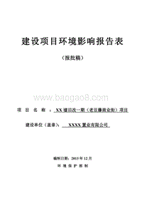 XX商业街项目环境影响评价报告表.doc
