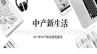 2017年中产阶层研究报告.pptx