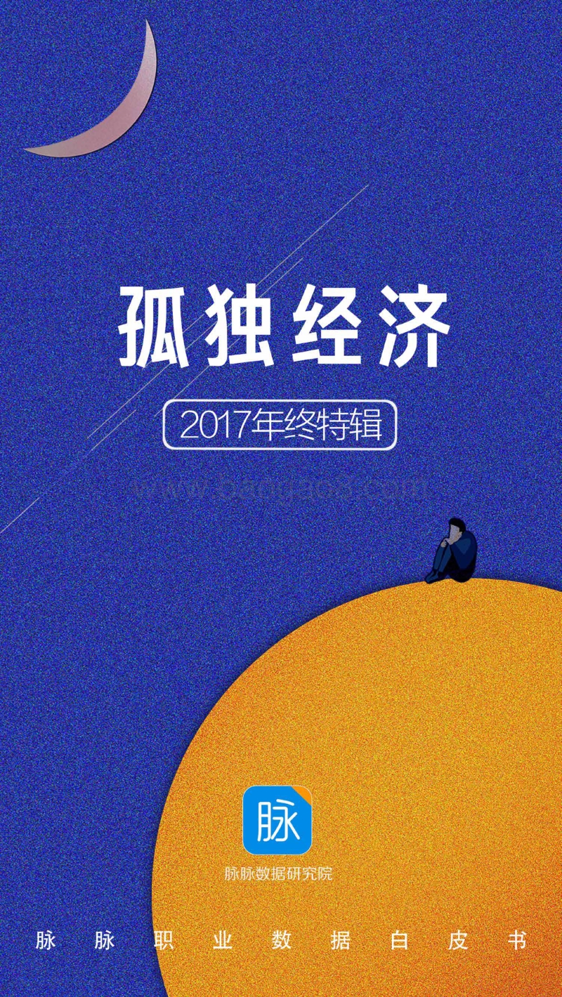 2017年孤独经济报告.pdf_第1页
