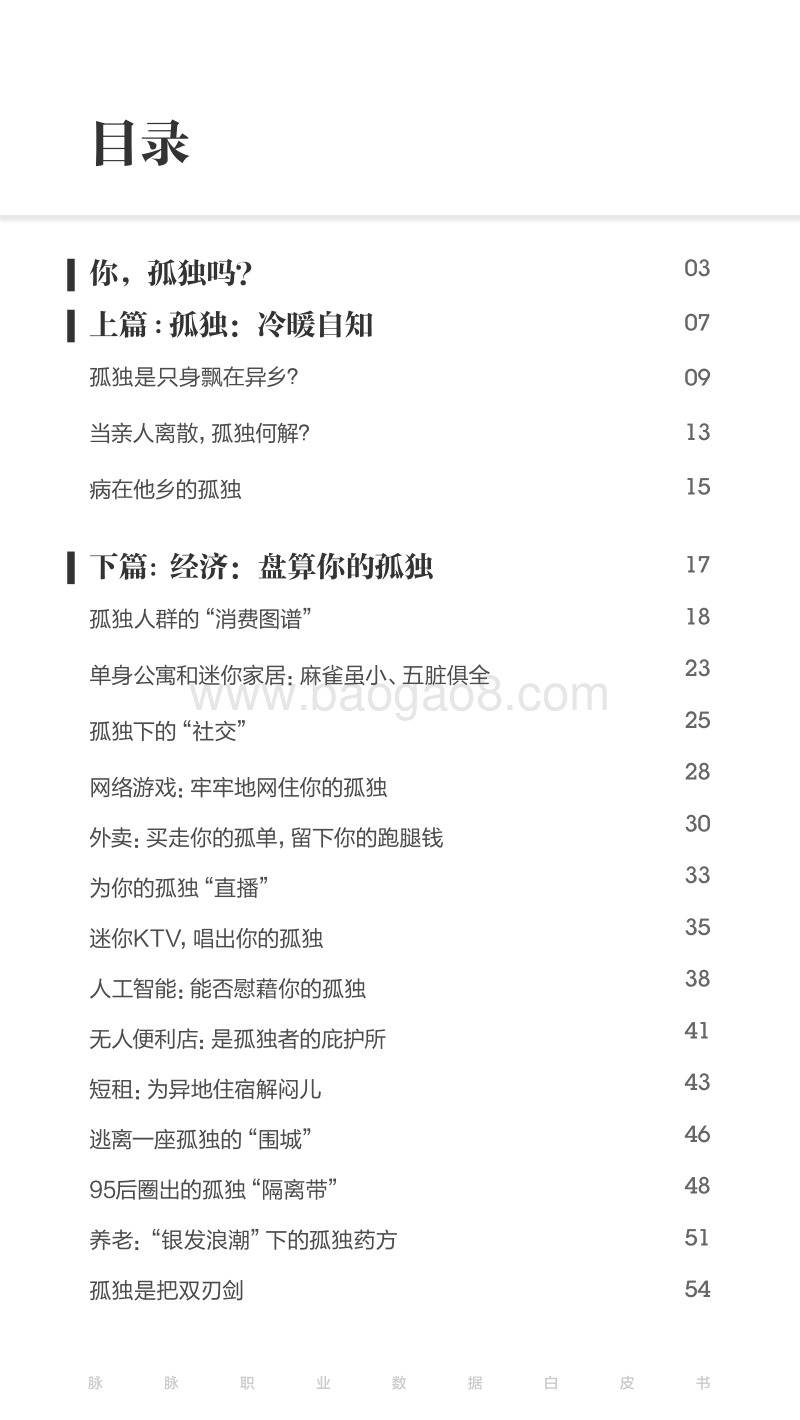 2017年孤独经济报告.pdf_第2页