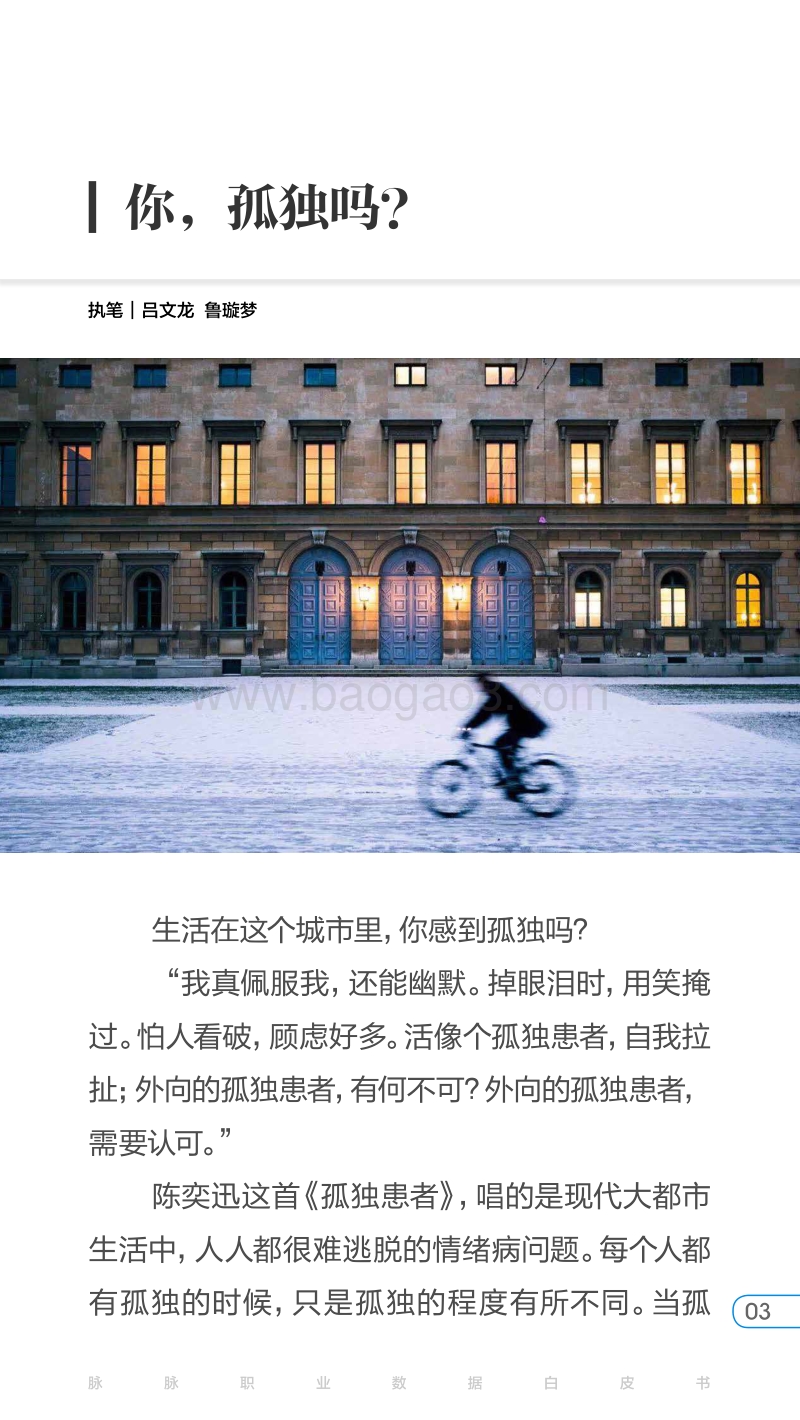 2017年孤独经济报告.pdf_第3页