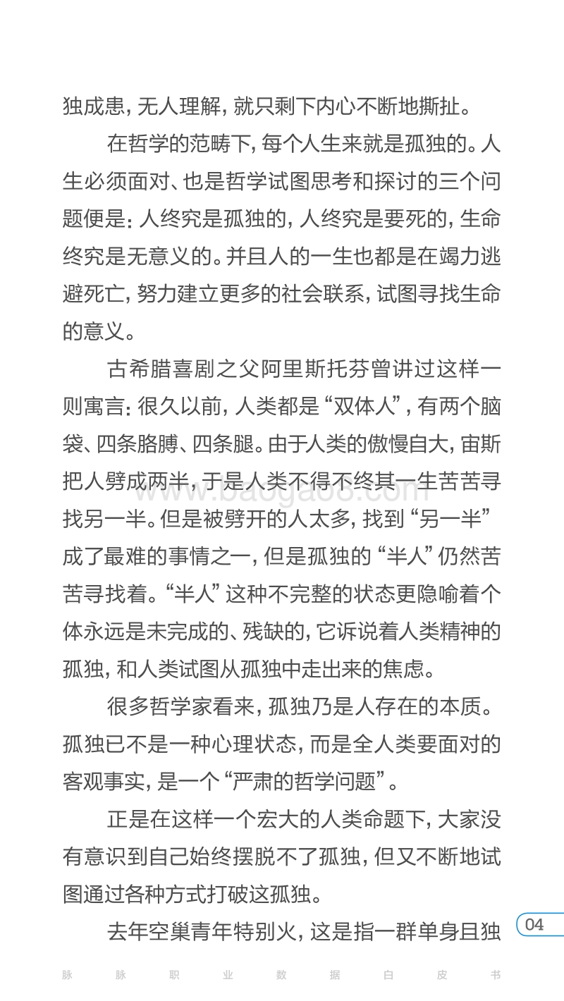 2017年孤独经济报告.pdf_第4页