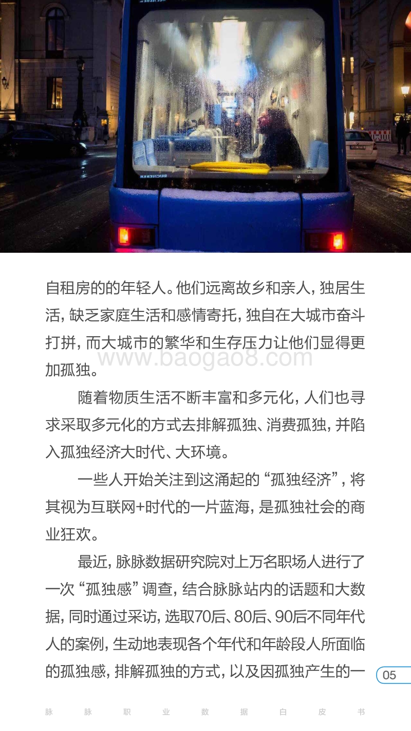 2017年孤独经济报告.pdf_第5页