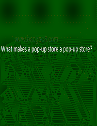 什么是快闪店.pdf