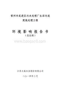 XX厂生活污泥焚烧处理工程项目环境影响评价报告表.pdf