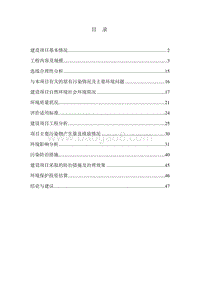 XX大桥项目环境影响评估报告表.doc
