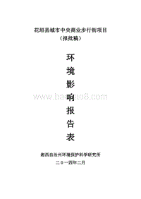 XX商业步行街项目环境影响评估报告书.pdf