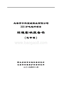 XX煤业有限公司环境影响评估报告书.pdf