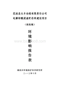 XX厂电解锌酸浸渣贮存库项目环境影响评估报告表.pdf