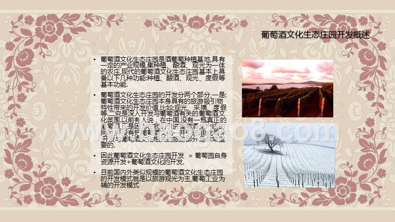 葡萄酒文化生态庄园项目研究报告.ppt_第4页