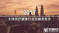 2017全球医疗健康行业投融资报告.pdf