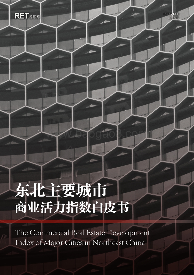 东北主要城市商业活力指数白皮书.pdf_第1页