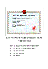 XX道路工程项目环境影响评价报告书 (2).pdf