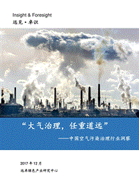 中国大气污染治理行业洞察 .pdf