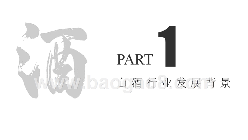 2017年白酒行业研究报告.pptx_第3页