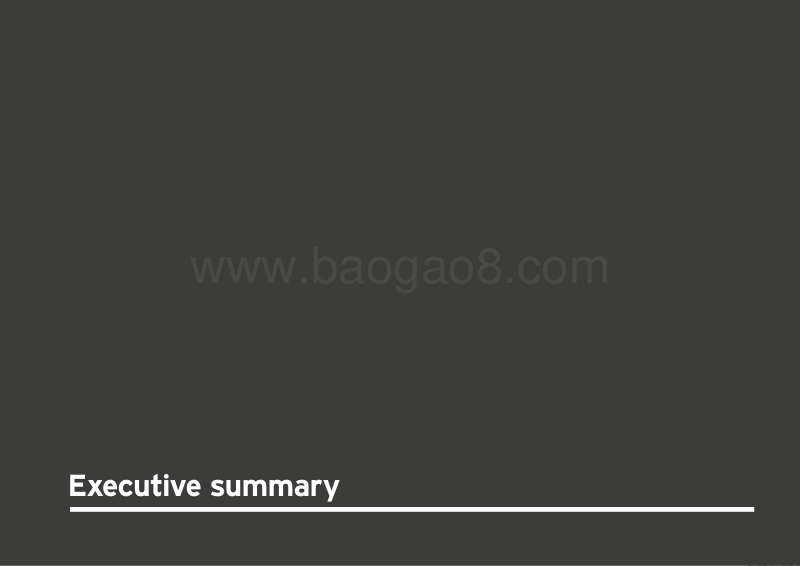 2017全球奢侈品行业报告.pdf_第4页