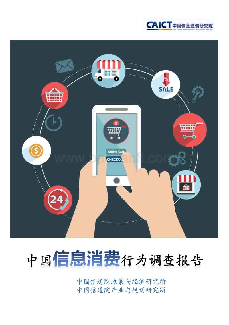 中国信息消费行为调查报告.pdf_第1页