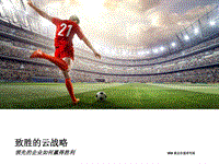 致胜的云战略：领先的企业如何赢得胜利.pdf