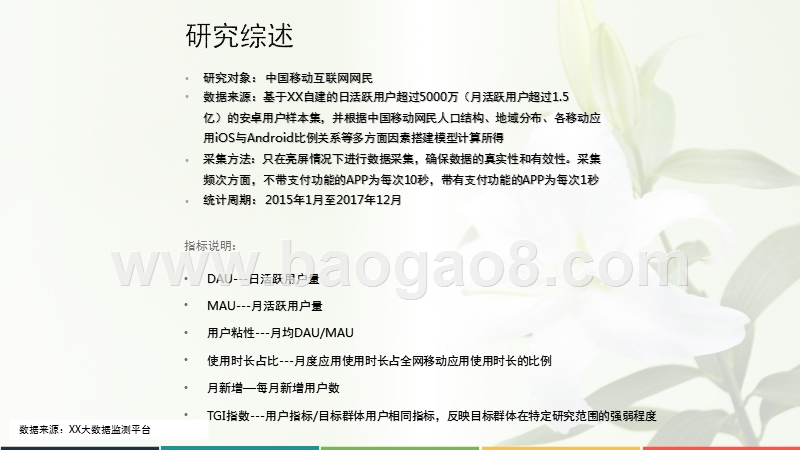 2017年中国移动互联网行业发展分析报告.pptx_第2页