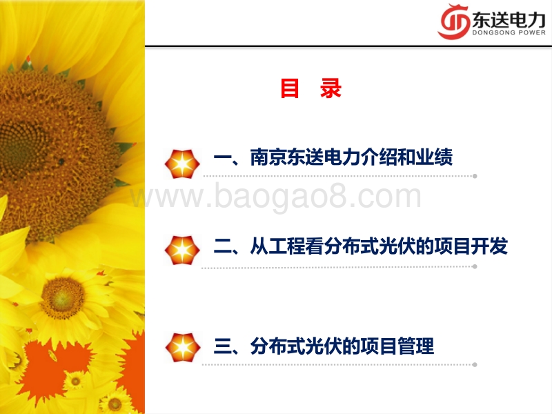 战海波 分布式光伏工程管理.pdf_第2页